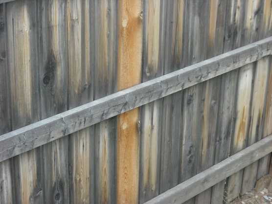 my fence (c) JLPhillips 2013