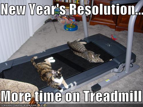 new year resolution more time on treadmill funny cat